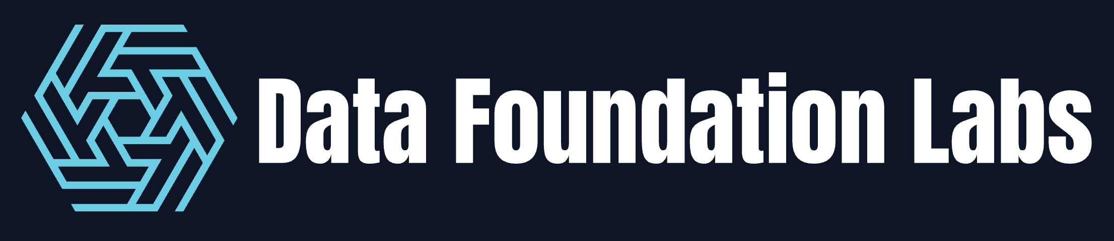 Data Foundation Labs